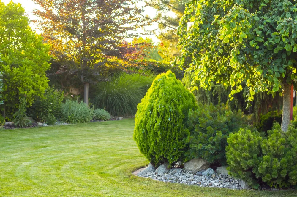 Entretien jardin près de Landéan