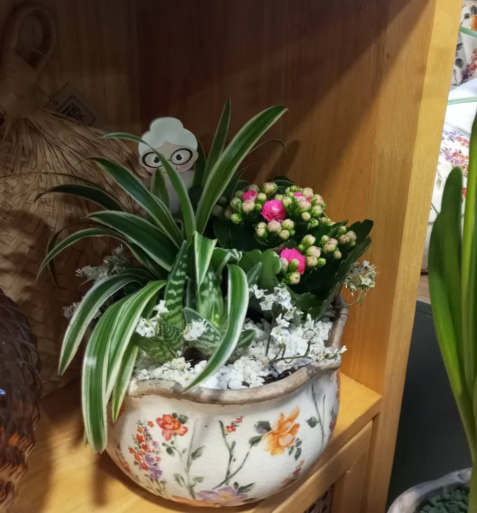 Fleuriste près de Landéan
