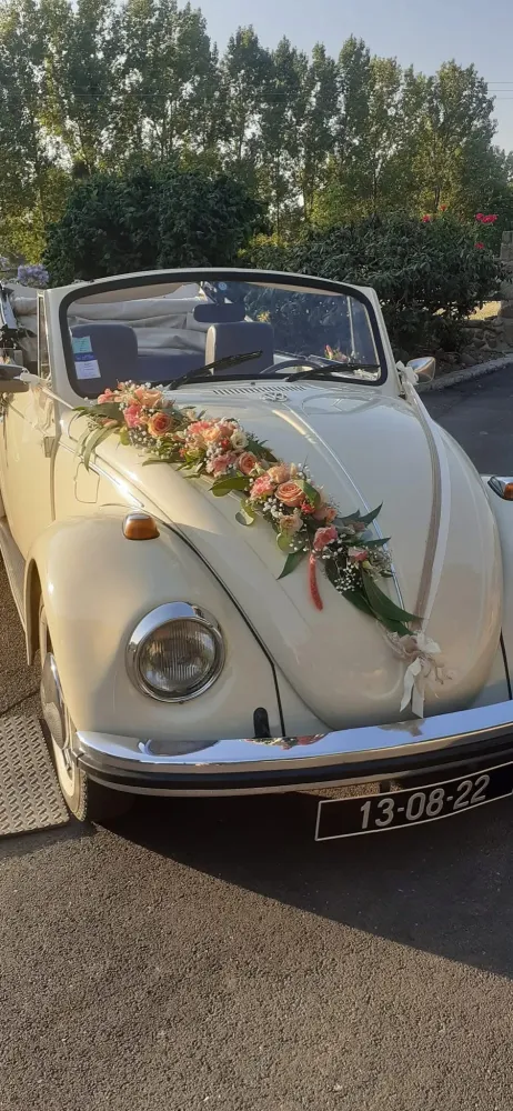 fleurs voiture (1)